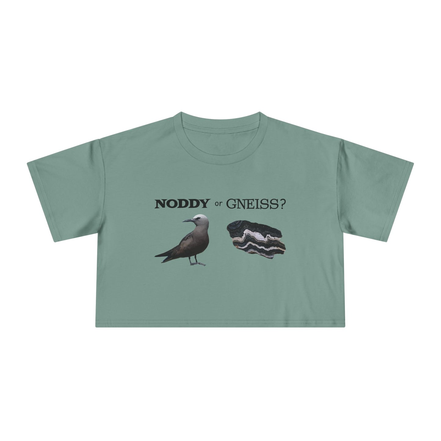 "Noddy or Gneiss?" Women's Crop Tee